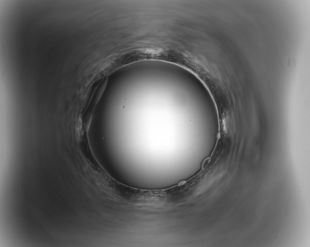 X0000098081347200804110934