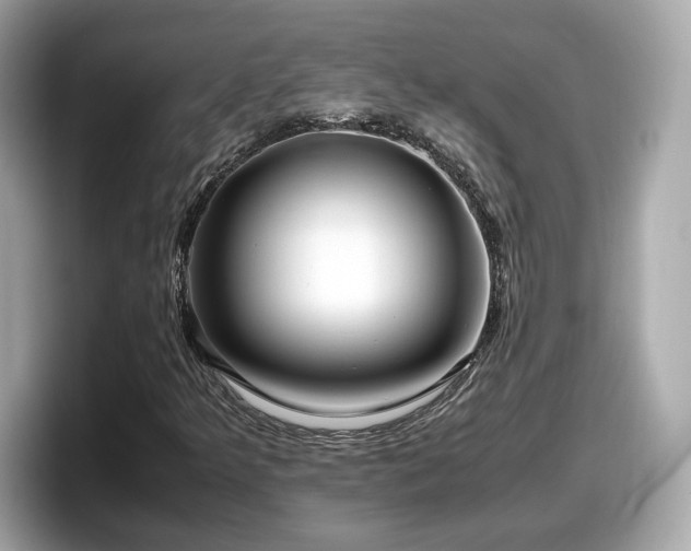 X0000098081349200804110934