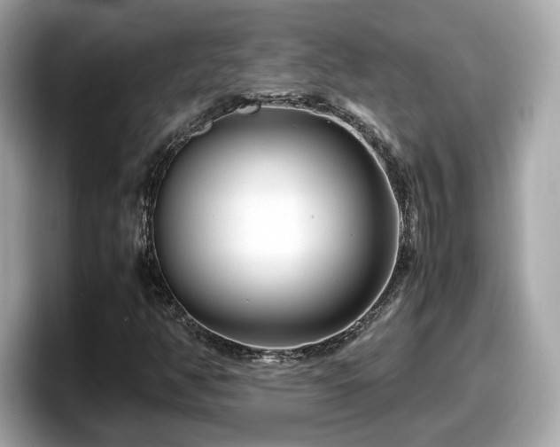 X0000098081350200804110934