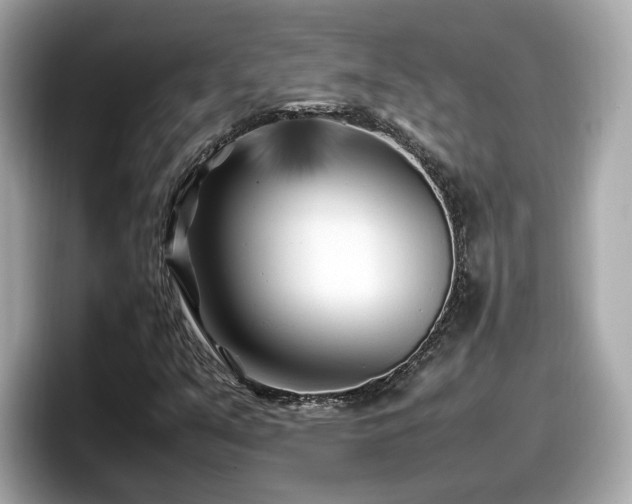 X0000098081351200804110934