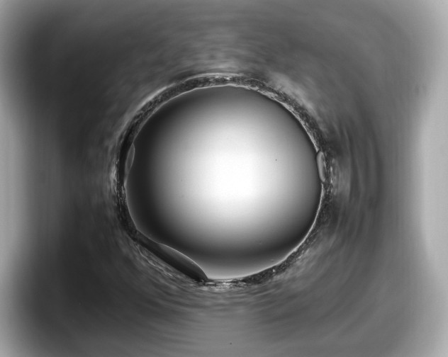 X0000098081352200804110934