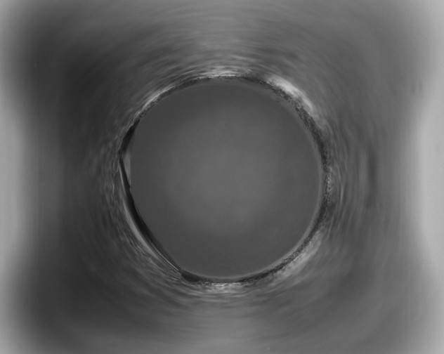 X0000098081353200804110934