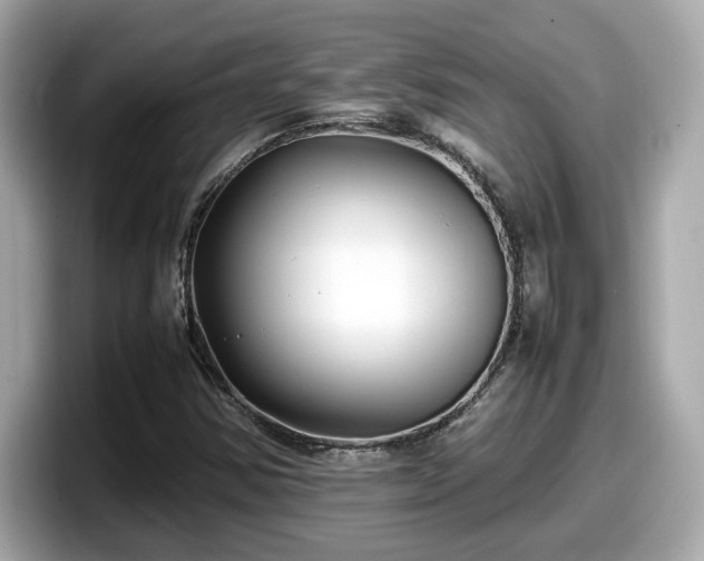 X0000098081354200804110934