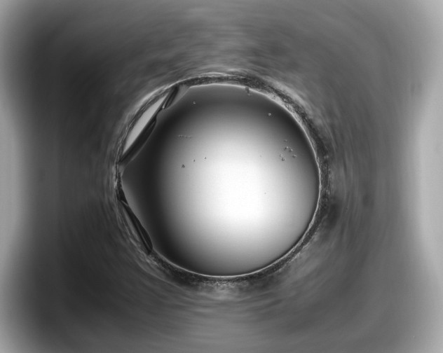 X0000098081355200804110934