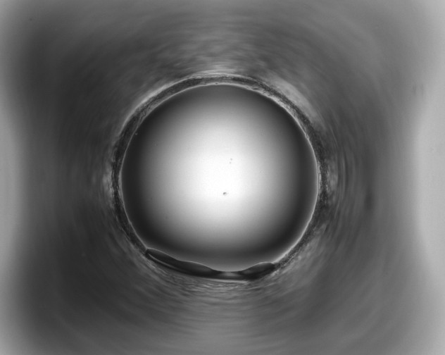 X0000098081356200804110934