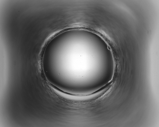 X0000098081358200804110934