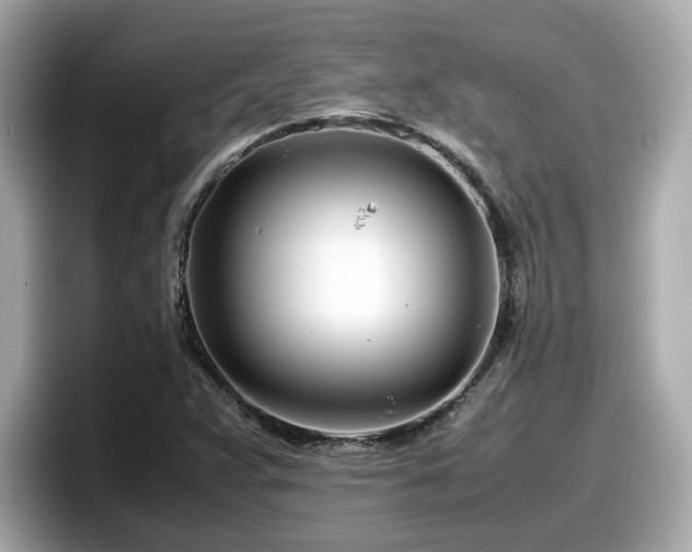 X0000098081359200804110934