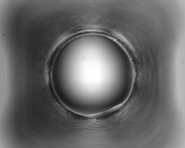 X0000098081360200804110934