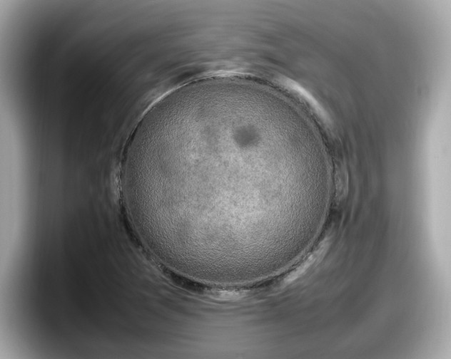X0000098081361200804110934