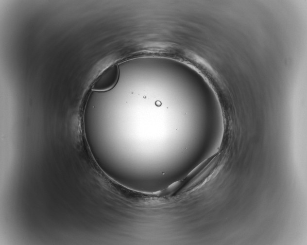 X0000098081362200804110934