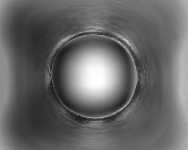 X0000098081363200804110934