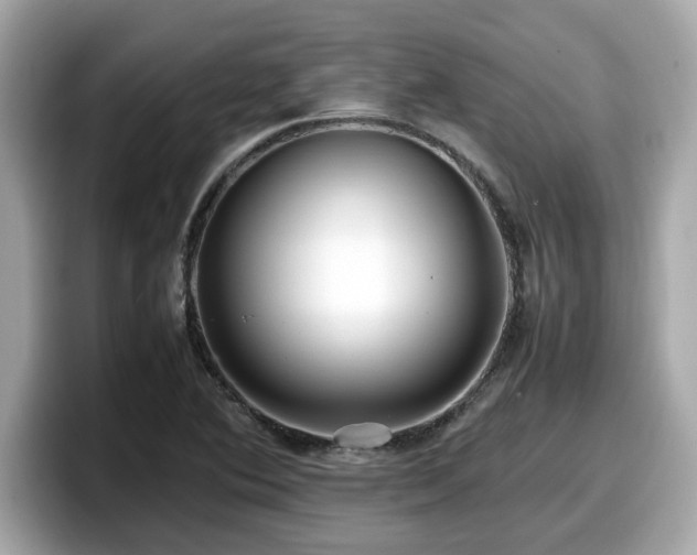 X0000098081364200804110934