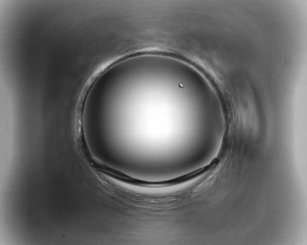 X0000098081367200804110934