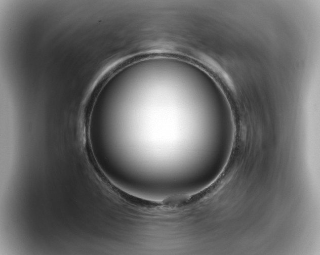 X0000098081368200804110934