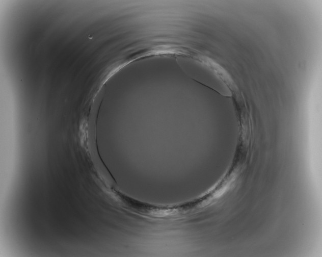 X0000098081369200804110934