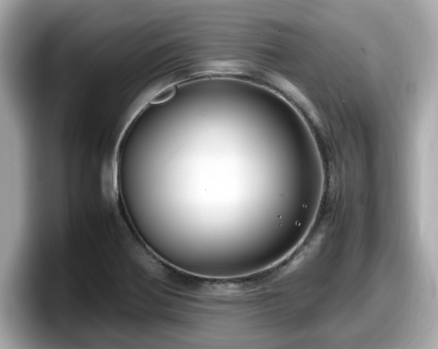 X0000098081370200804110934
