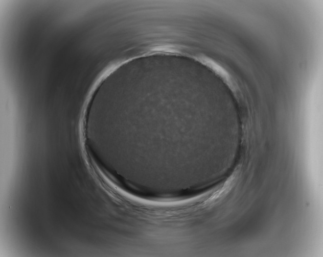 X0000098081373200804110934