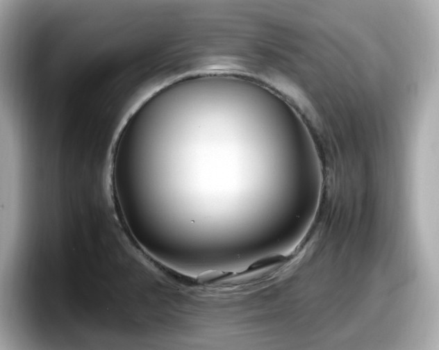 X0000098081374200804110934