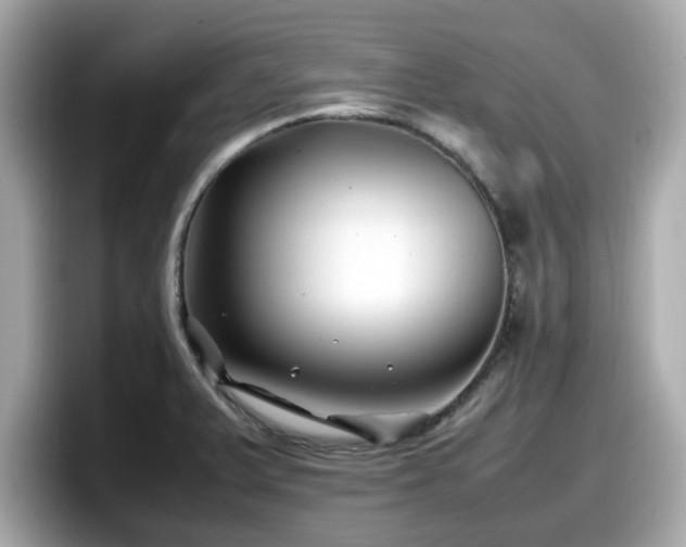 X0000098081375200804110934