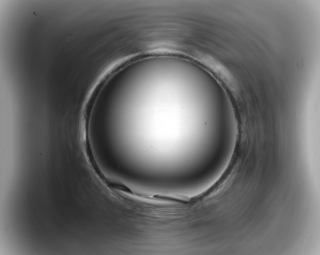 X0000098081376200804110934