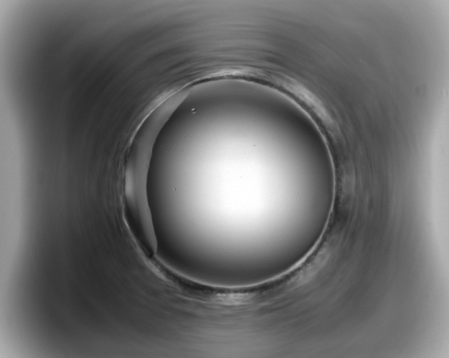 X0000098081377200804110934
