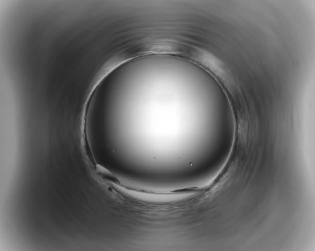 X0000098081378200804110934