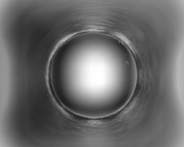 X0000098081379200804110934