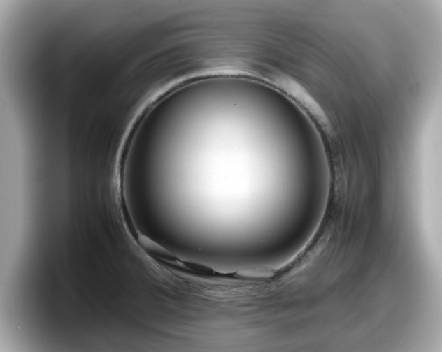 X0000098081380200804110934