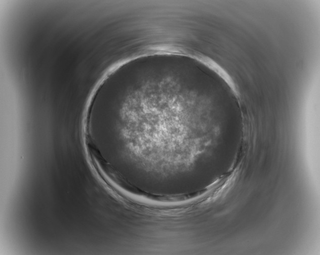 X0000098081381200804110934