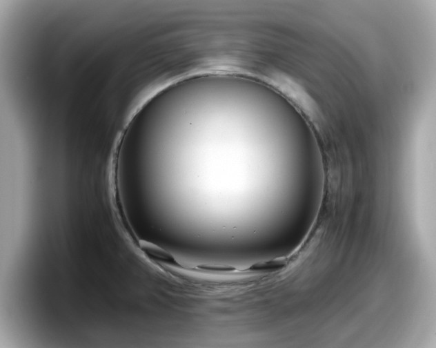 X0000098081382200804110934