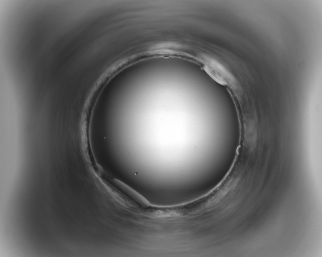 X0000098081384200804110934