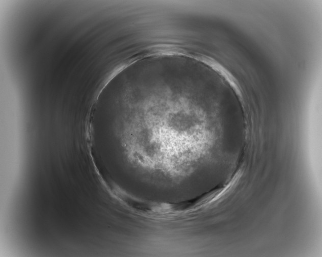 X0000098081385200804110934
