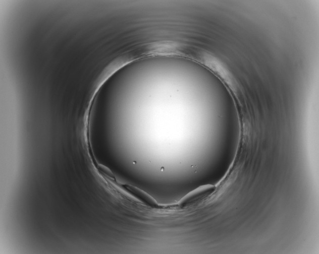 X0000098081386200804110934