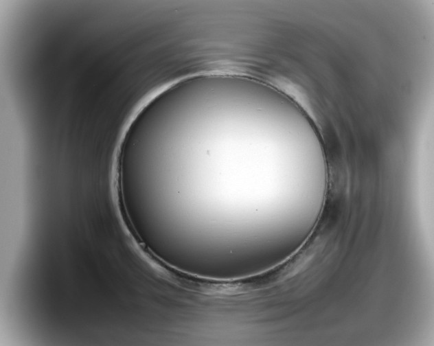 X0000098081387200804110934