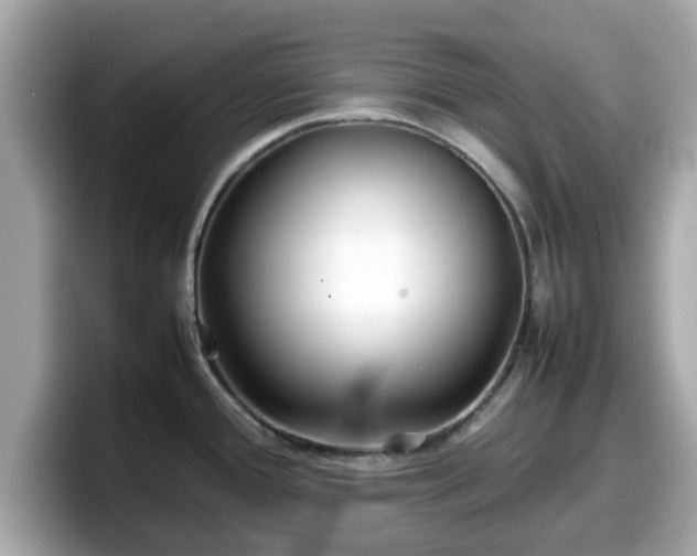 X0000098081388200804110934