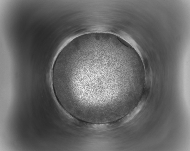 X0000098081389200804110934