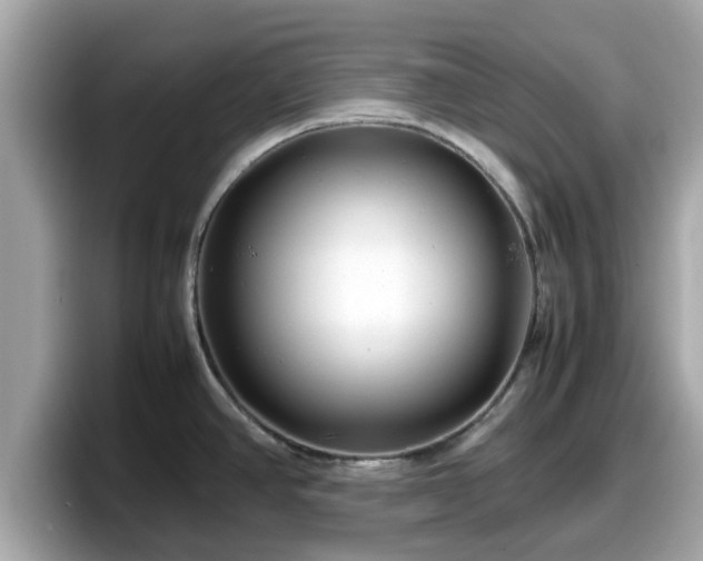 X0000098081390200804110934