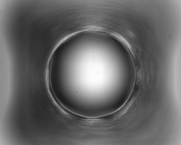 X0000098081391200804110934