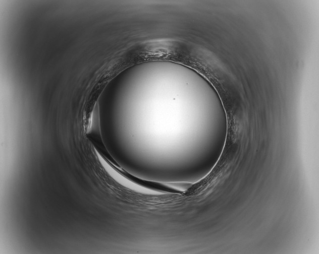 X0000098081394200804110933