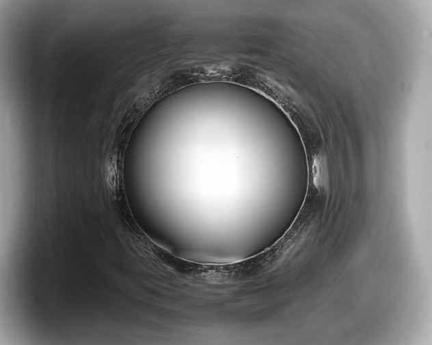 X0000098081395200804110933