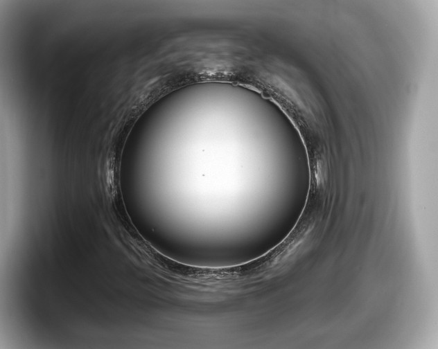 X0000098081396200804110933
