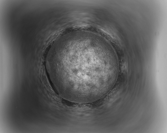 X0000098081397200804110933