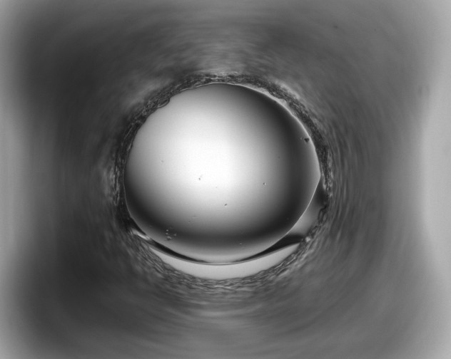 X0000098081398200804110933