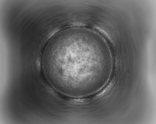 X0000098081401200804110933