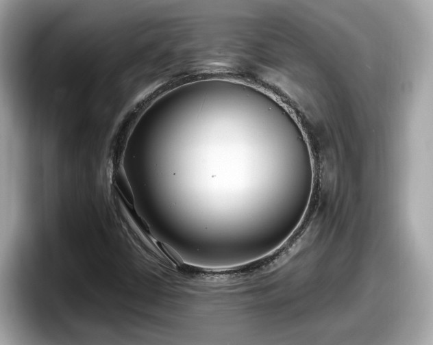 X0000098081402200804110933