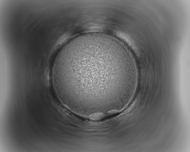 X0000098081403200804110933