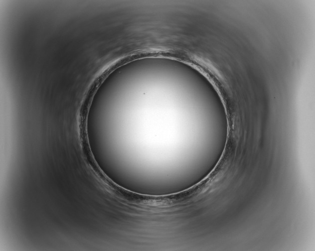 X0000098081404200804110933
