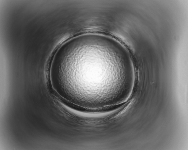 X0000098081405200804110933