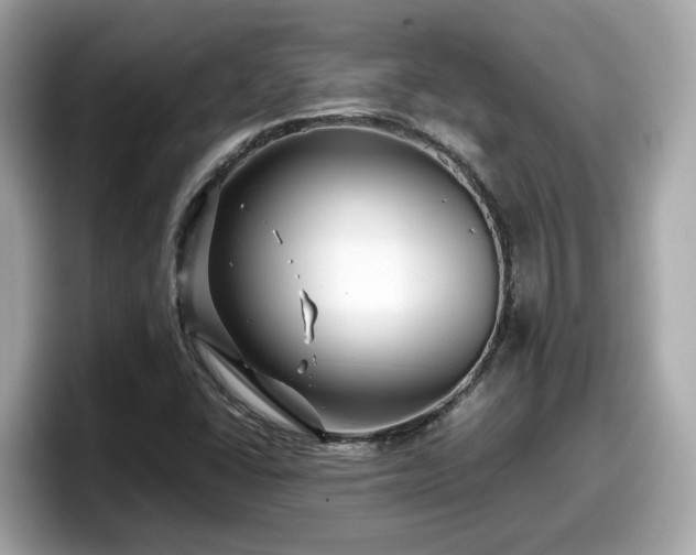 X0000098081406200804110933