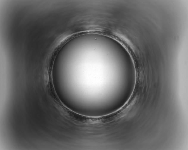X0000098081407200804110933